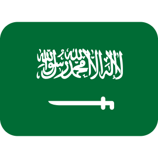 flag-for-flag-saudi-arabia-svgrepo-com